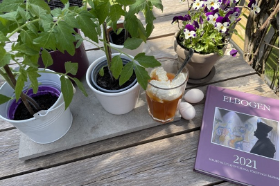 Lite Malmöhistoria från&nbsp;1644